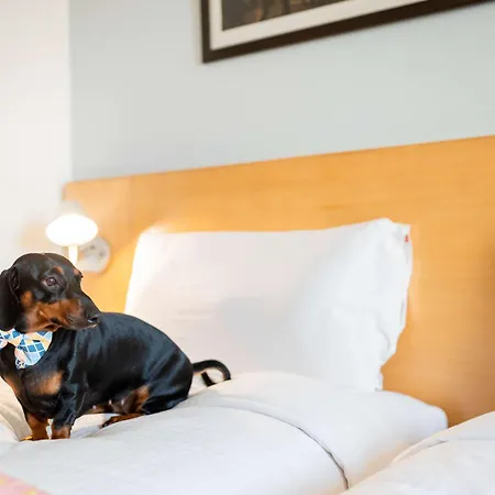 Ibis Hauptbahnhof 3*